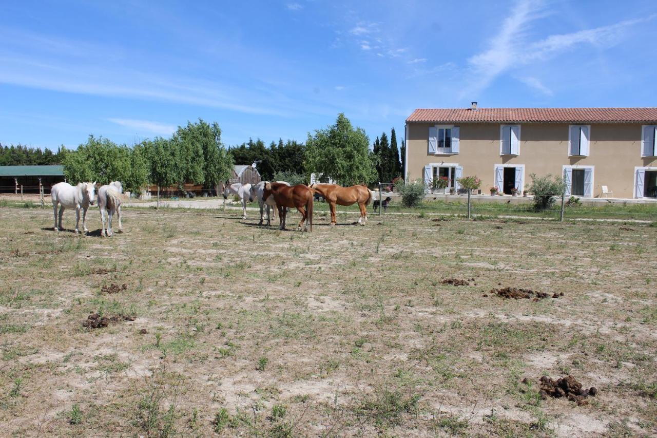 La Sarriette - Chambres D'Hotes Et Gite D'Etape A Eygalieres Exterior photo